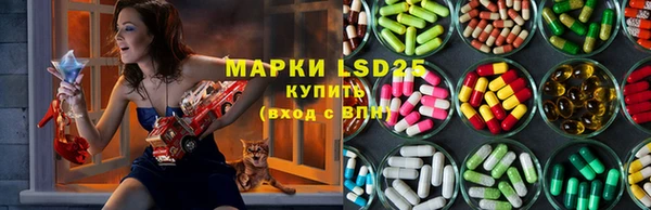 ешки Бородино