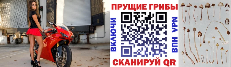 Галлюциногенные грибы ЛСД  Кемь 